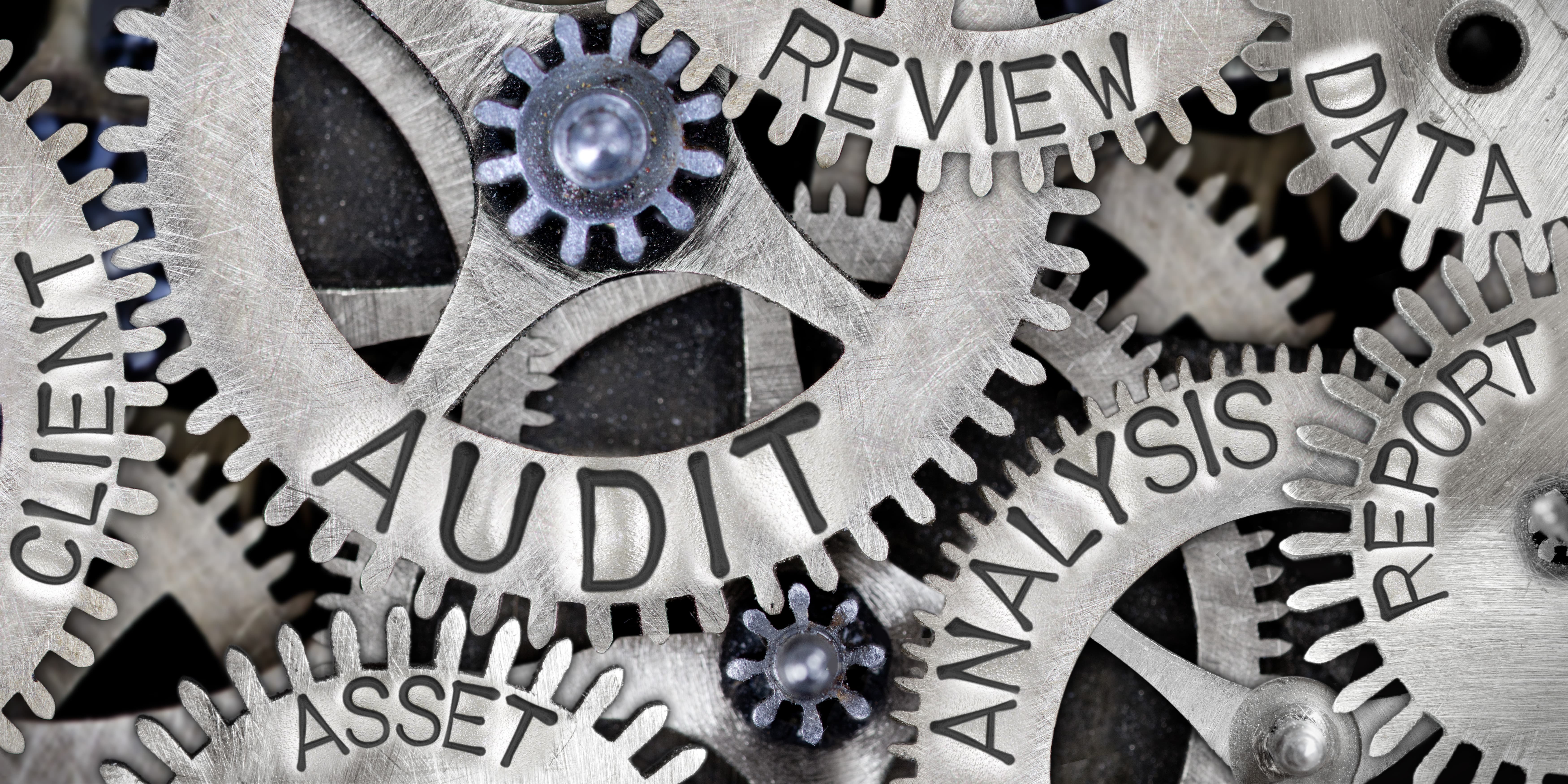 Interne audit